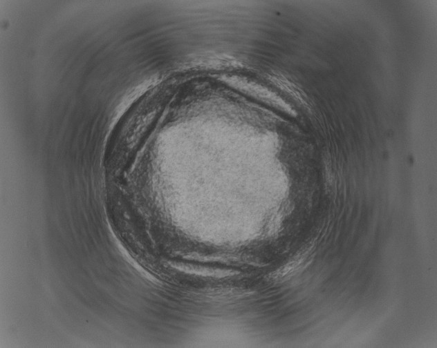 X0000067910630200605041644