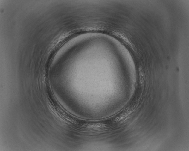 X0000067910631200605041644