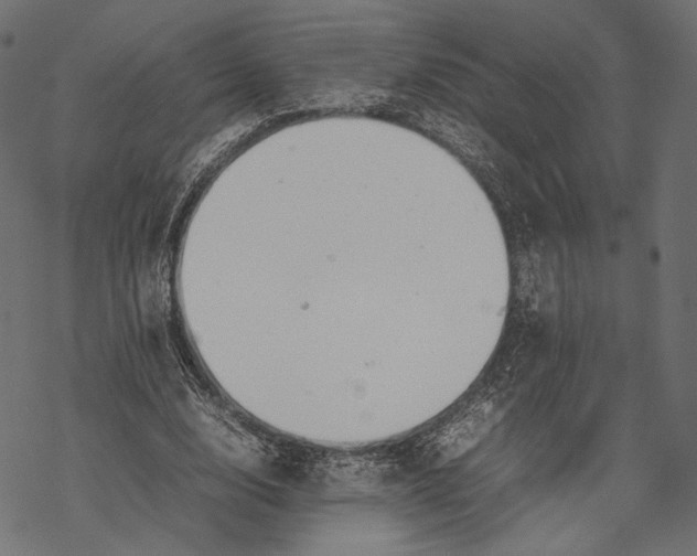 X0000067910632200605041644