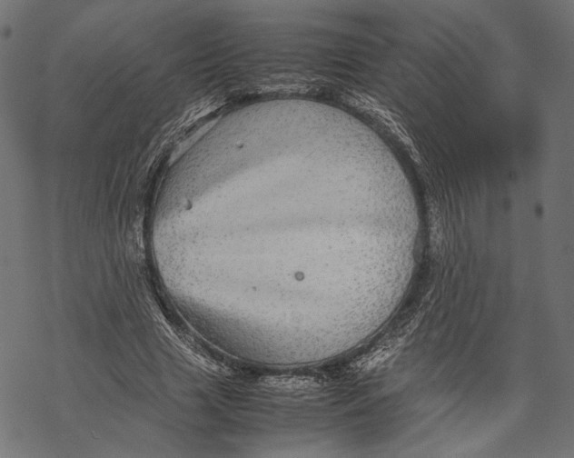 X0000067910633200605041644