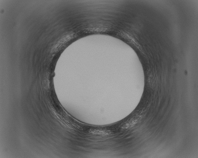 X0000067910635200605041644