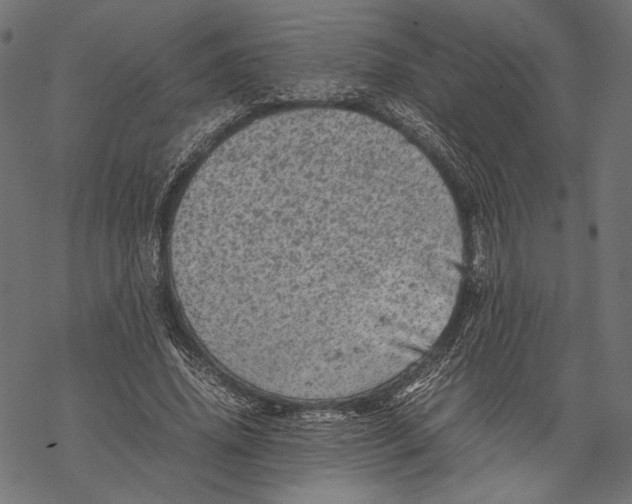 X0000067910636200605041644