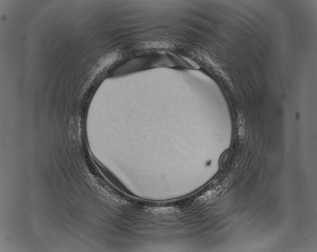 X0000067910637200605041644