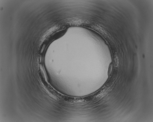 X0000067910638200605041644