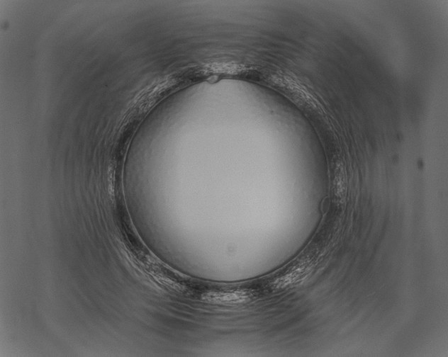 X0000067910639200605041644