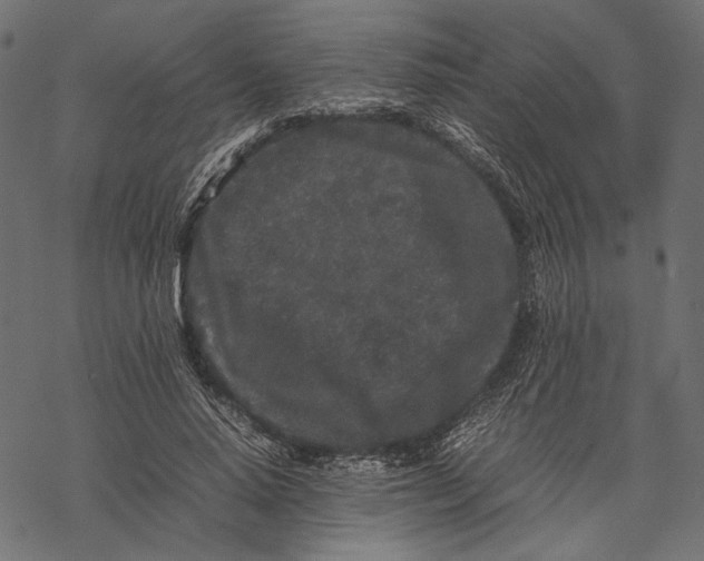 X0000067910640200605041644