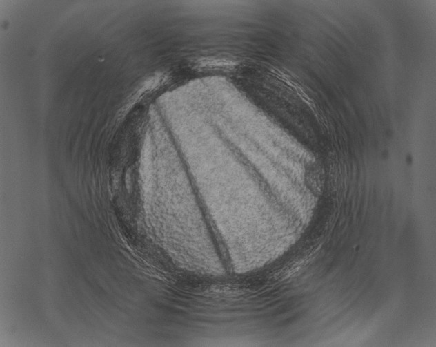 X0000067910641200605041644