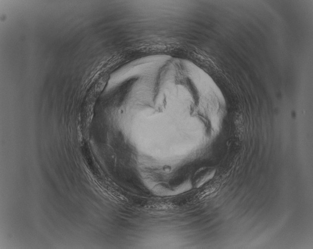 X0000067910642200605041644