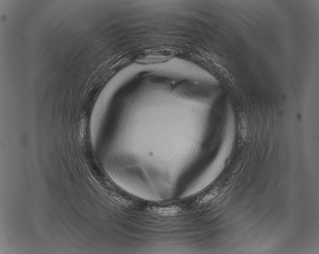 X0000067910645200605041644