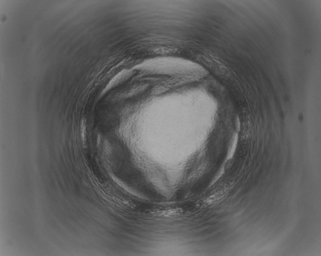 X0000067910646200605041644