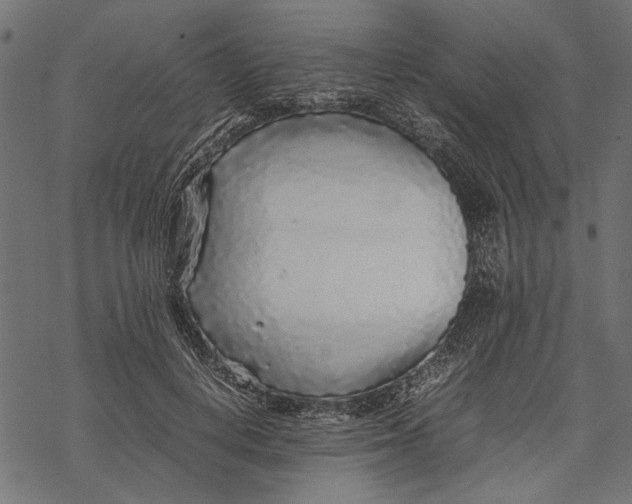 X0000067910648200605041644