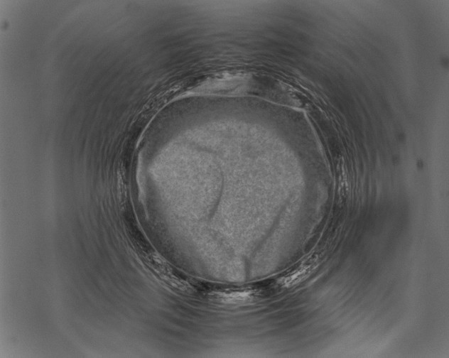 X0000067910651200605041644