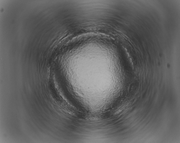 X0000067910652200605041644