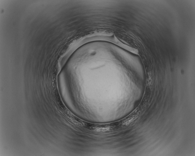 X0000067910653200605041644