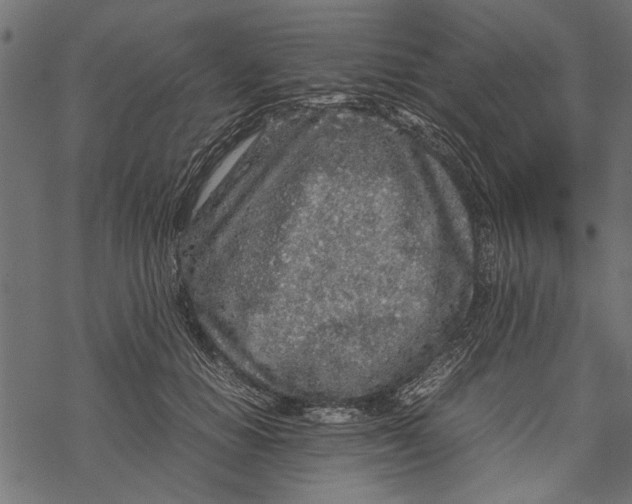 X0000067910654200605041644