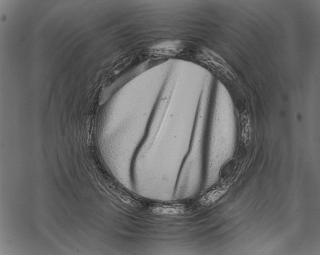 X0000067910655200605041644