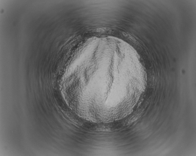 X0000067910656200605041644