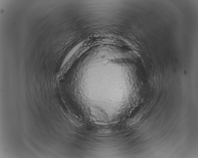 X0000067910658200605041644