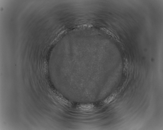 X0000067910659200605041645