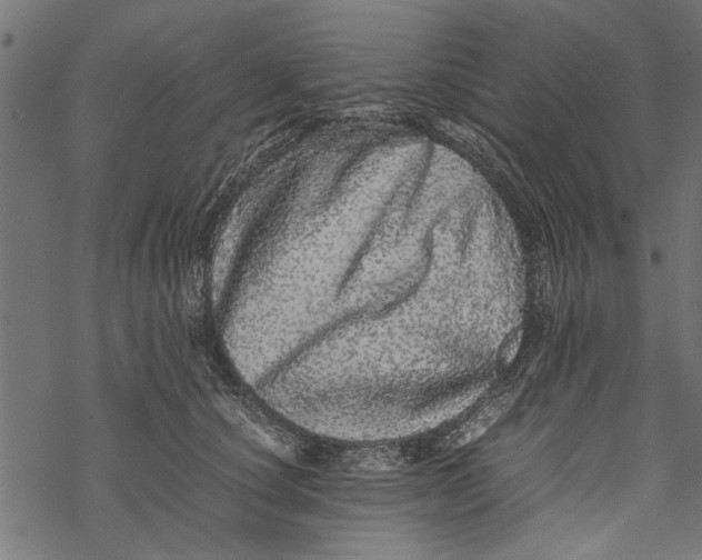 X0000067910660200605041645