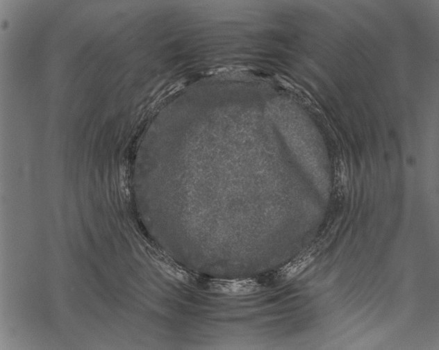 X0000067910663200605041645