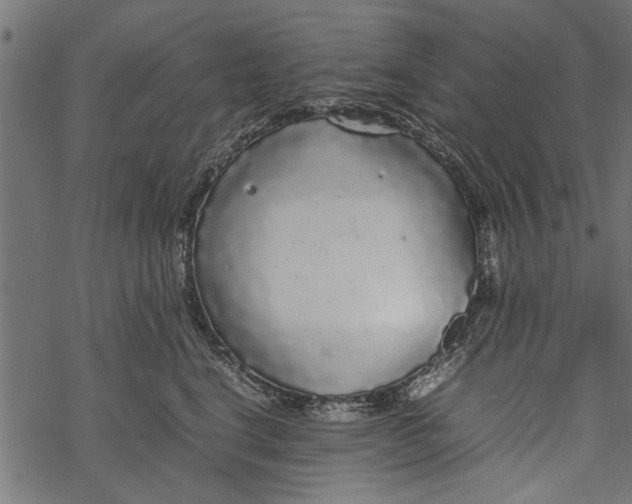 X0000067910664200605041645