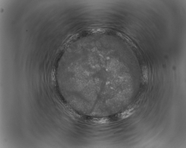 X0000067910667200605041645