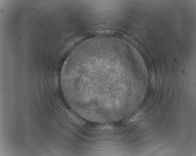 X0000067910668200605041645