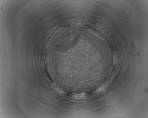 X0000067910671200605041645