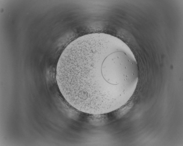 X0000067910672200605041645