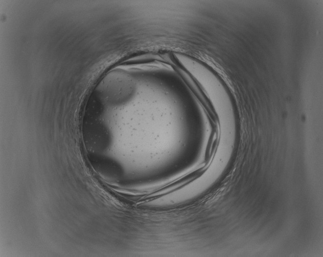 X0000067910673200605041644