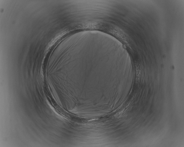 X0000067910674200605041644