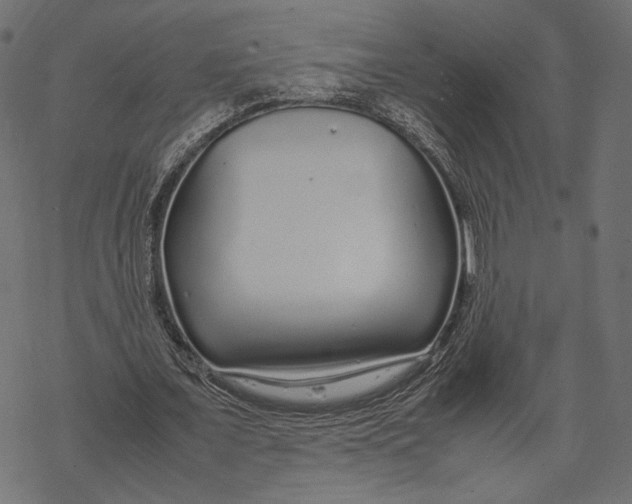 X0000067910675200605041644