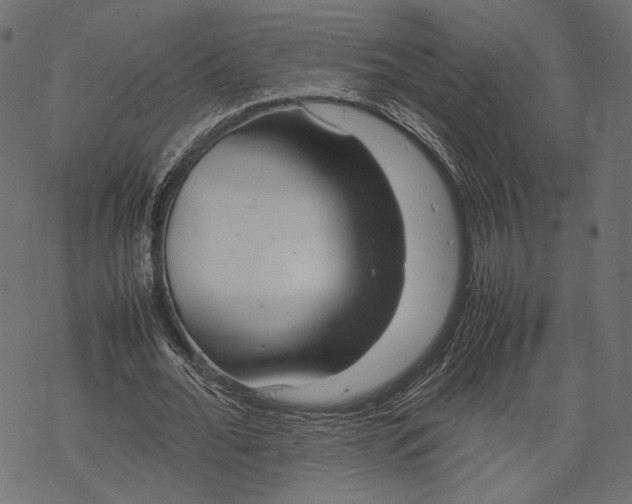 X0000067910676200605041644