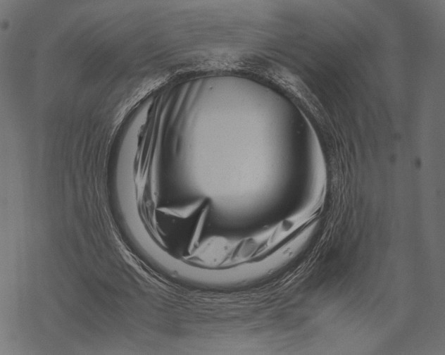 X0000067910677200605041644