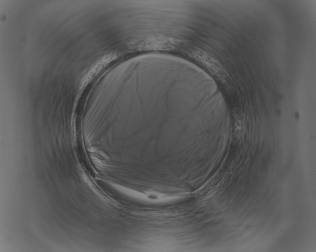 X0000067910678200605041644