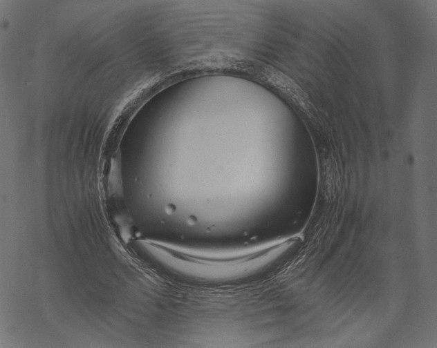 X0000067910680200605041644