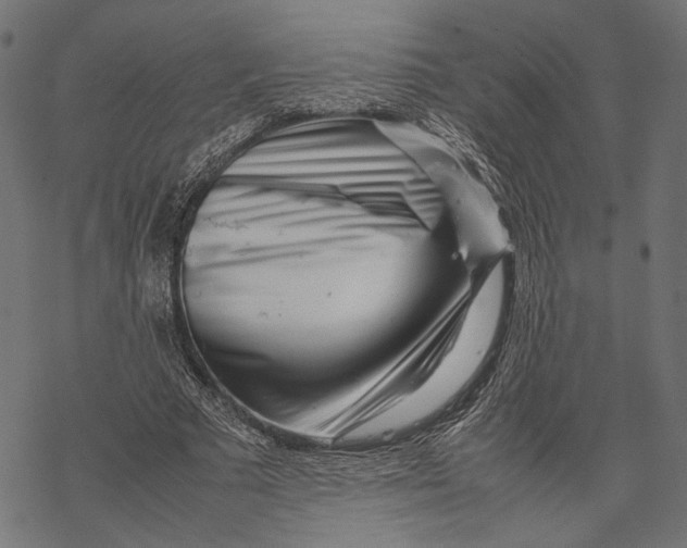 X0000067910681200605041644