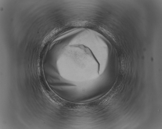 X0000067910682200605041644