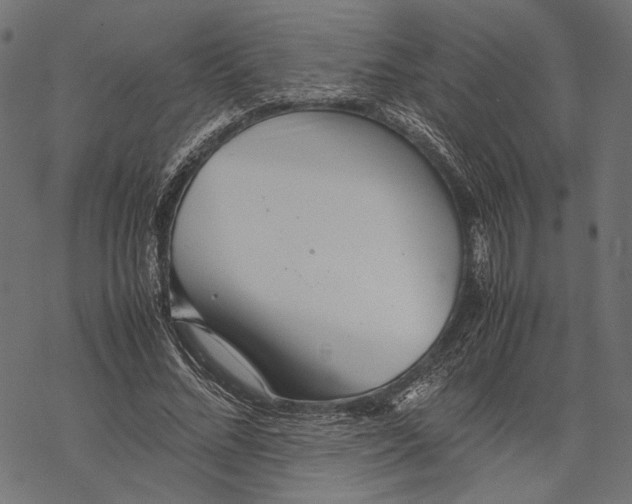 X0000067910684200605041644