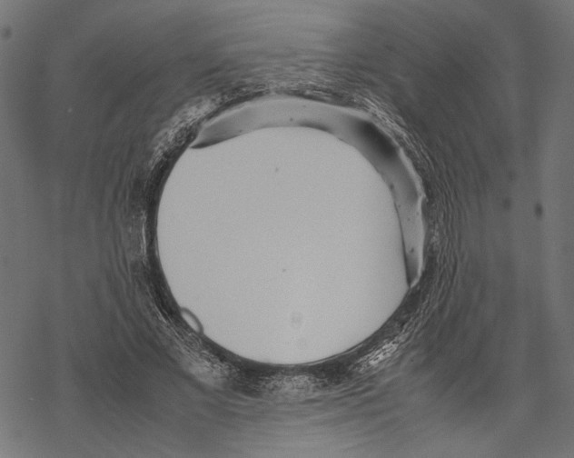 X0000067910685200605041644