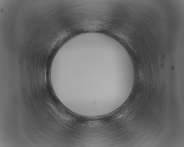 X0000067910686200605041644