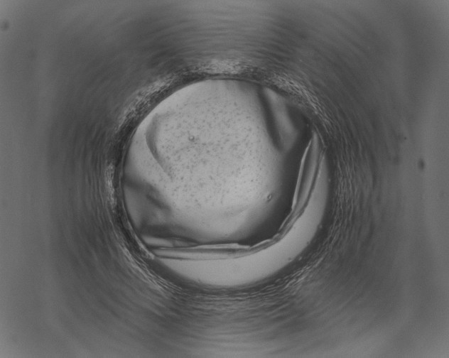 X0000067910688200605041644