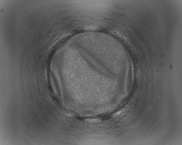 X0000067910689200605041644