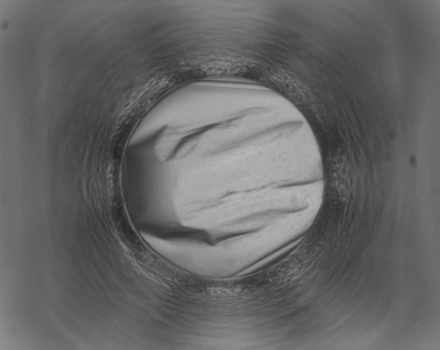 X0000067910690200605041644