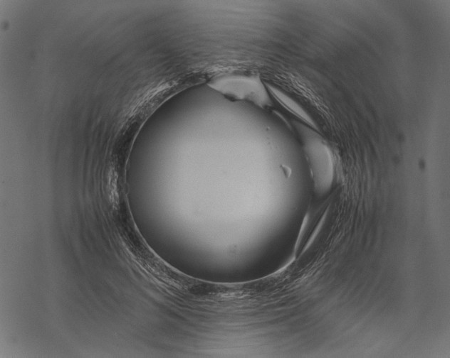 X0000067910692200605041644