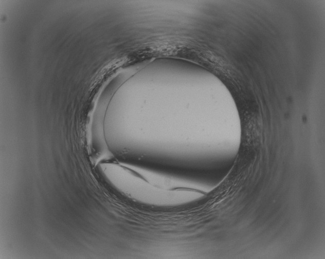 X0000067910693200605041644