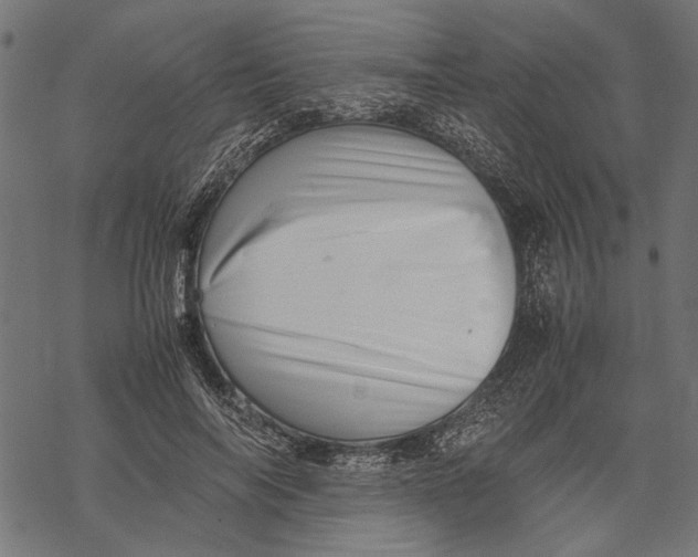 X0000067910694200605041644