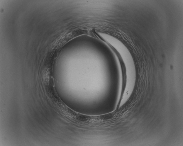 X0000067910697200605041644