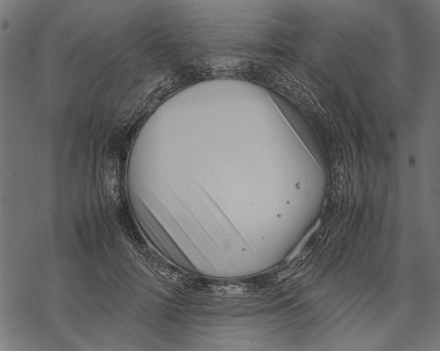 X0000067910698200605041644